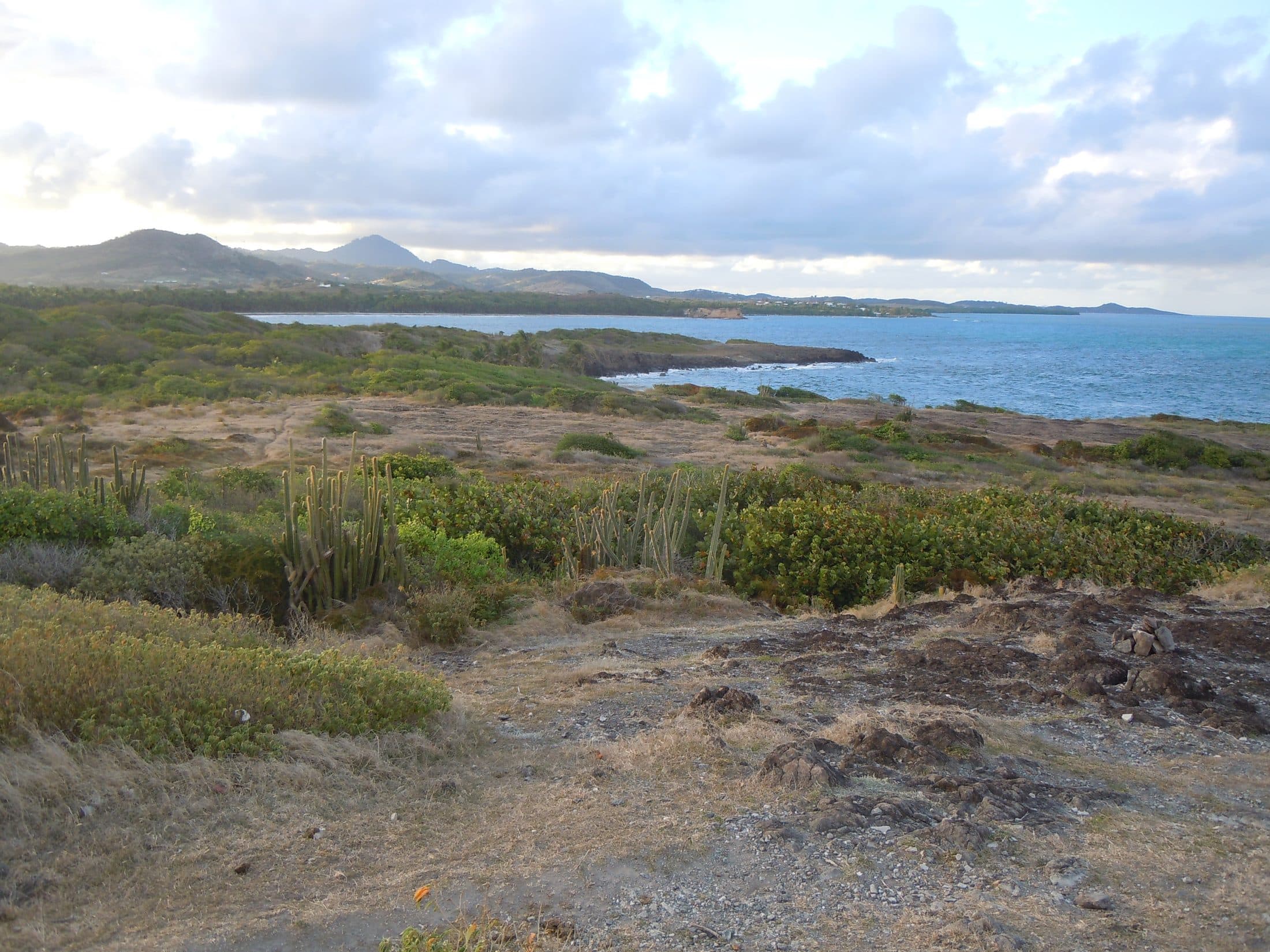 Le Domaine du Grand Macabou