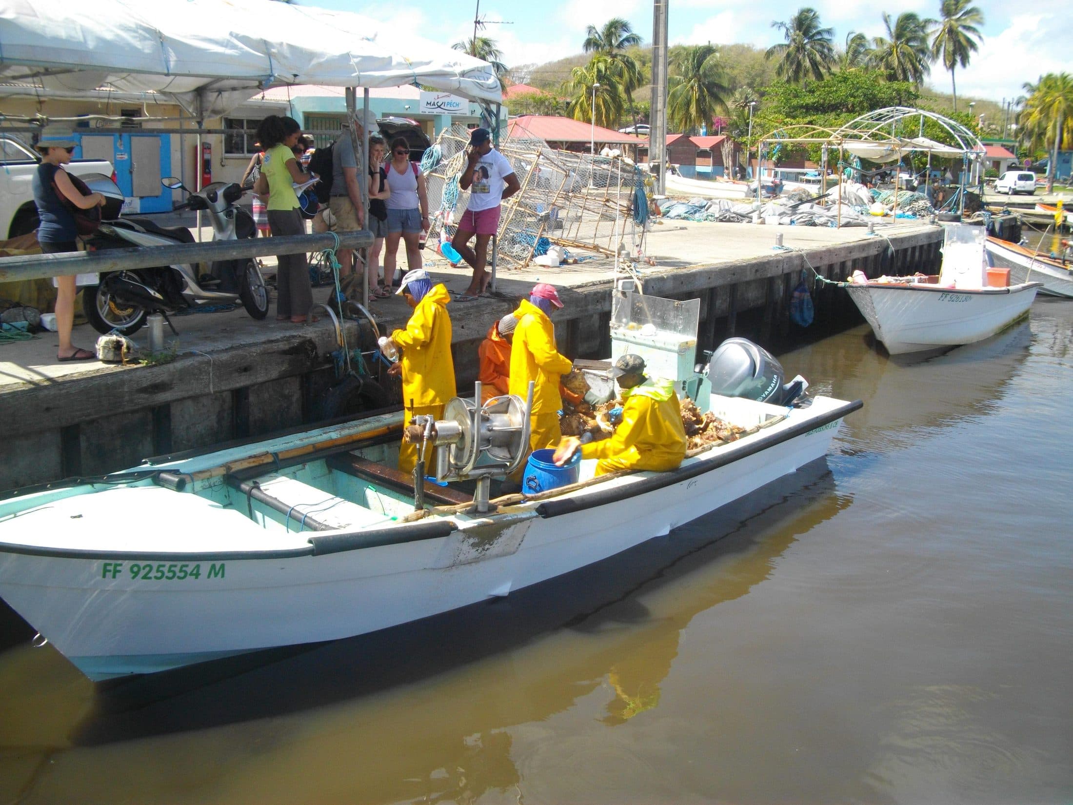 Le port de pêche et le marché